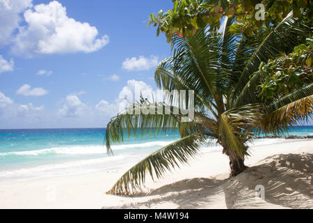 Barbados-Strand Stockfoto