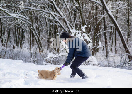 Mann spielen mit Cocker Spaniel Stockfoto