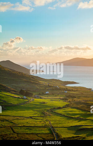 Abendlicht über Felder und Skellig Inseln von Ballinskelligs Bay, County Kerry, Irland. Stockfoto