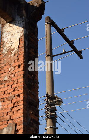 Abriss Gebäude neben elektrischen Pole Stockfoto