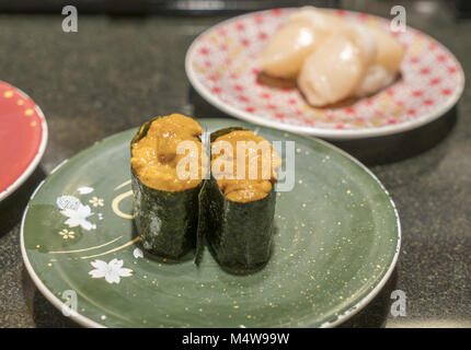 Seeigel roe japanisches Sushi uni gunkanmaki Stockfoto