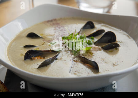 Köstliche Schüssel fish Chowder dekoriert mit Muscheln und Kresse Stockfoto