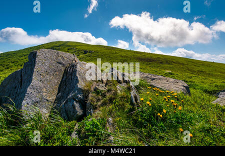 Felsen und Löwenzahn auf grasigen Hang. schönen Sommer Natur Landschaft in Berg unter dem blauen Himmel mit einigen Wolken Stockfoto