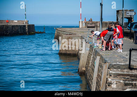 Aberaeron Hafen an einem sonnigen Sommertag Stockfoto