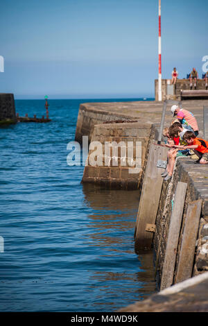 Aberaeron Hafen an einem sonnigen Sommertag Stockfoto