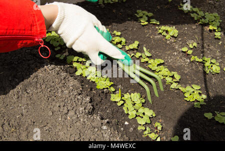 Frau Gartenhandschuhe Holding ein Rechen und Schaufel, Pflege für Pflanzen Stockfoto