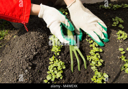 Frau Gartenhandschuhe Holding ein Rechen und Schaufel, Pflege für Pflanzen Stockfoto