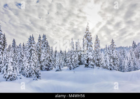 Schnee Landschaft, Jura, Frankreich Stockfoto