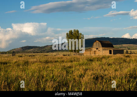 Molton Scheune im Grand Teton National Park. Wyoming, USA Stockfoto