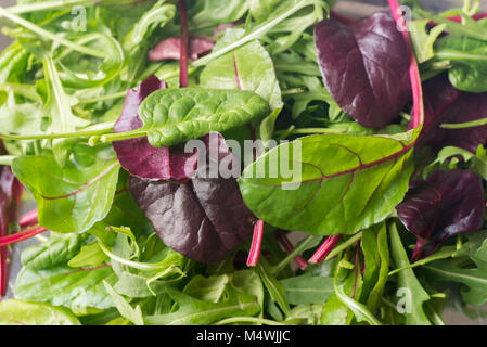 Salat mit frischen Blätter Spinat, Rucola, Zuckerrüben Stockfoto