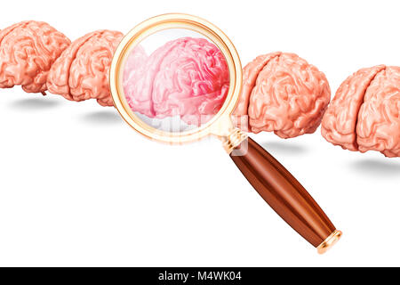 Zeile aus menschliche Gehirne mit Lupe, 3D-Rendering auf weißem Hintergrund Stockfoto