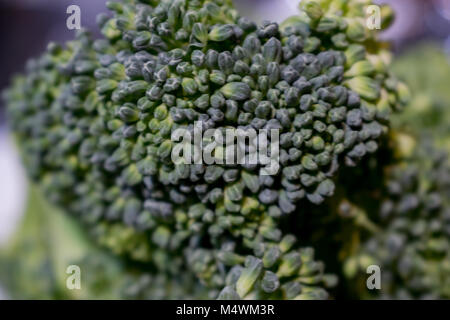 Brokkoli bereit für den Pot Stockfoto