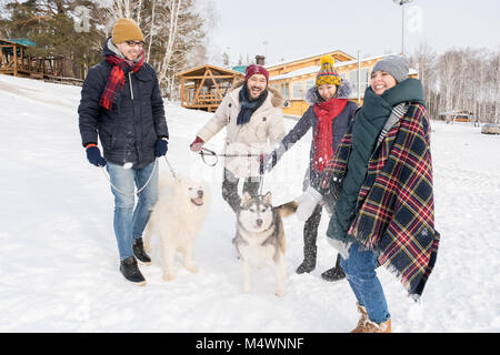 In voller Länge Porträt von zwei Lachende junge Paare gehen Hunde während Spaß im Freien im Winter Stockfoto