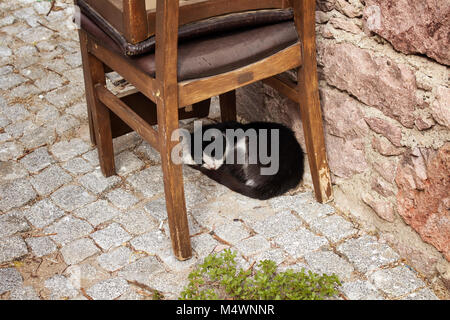 Streunende Katze schläft unter einem Stuhl vor der Tür. Stockfoto