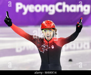 17. Februar 2018, Tainan, Südkorea, Olympics, Shorttrack, 1000 m, mens, Finale im Gangneung Ice Arena: Samuel Girad von Kanada feiert seinen Sieg. Foto: Peter Kneffel/dpa Quelle: dpa Picture alliance/Alamy leben Nachrichten Stockfoto
