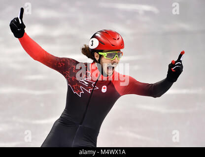 17. Februar 2018, Tainan, Südkorea, Olympics, Shorttrack, 1000 m, mens, Finale im Gangneung Ice Arena: Samuel Girad von Kanada feiert seinen Sieg. Foto: Peter Kneffel/dpa Quelle: dpa Picture alliance/Alamy leben Nachrichten Stockfoto