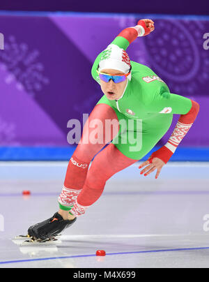 Gangneung, Südkorea. 18 Feb, 2018. 18. Februar 2018, Südkorea, Tainan: Olympics, Eisschnelllauf, Frauen, 500 Meter, Gangneung Oval: Ksenija Sadouskaya aus Weißrussland. Credit: Peter Kneffel/dpa/Alamy leben Nachrichten Stockfoto