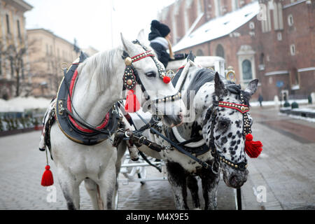 Krakau, Polen - 12. Februar 2018 Horse-Drawn Carriage geparkt In der Hauptmarkt; Stockfoto