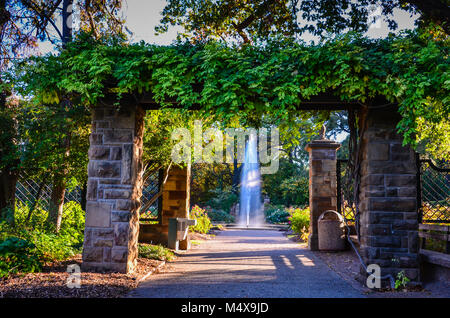 Hochhaus Brunnen durch Weinstock gesehen Pergola am Fort Worth Botanical Garden in Fort Worth, TX. Stockfoto