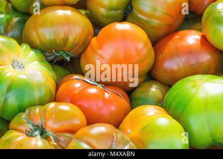 Haufen reif Organische bunte Raf Tomaten bei Farmers Market. Hell leuchtende Farben. Vitamine Superfoods Gesunde Ernährung Konzept. Sonnenlicht Sommer Moo Stockfoto