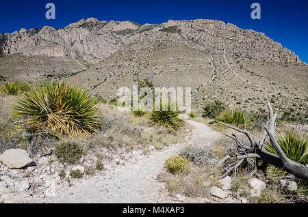 Robuste Wanderweg zu den Teufeln Halle Rock Formation Guadeloupe Mountains National Park, innerhalb der Chihuahuan Wüste in Texas. Stockfoto