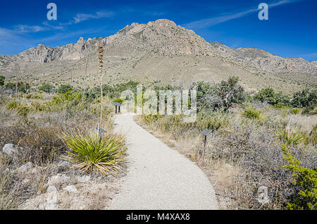Wanderweg Berg in Guadalupe Mountains National Park in Texas. Stockfoto