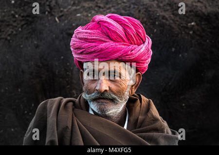 Indisches Kamel shephard vor einem Kamel Stockfoto
