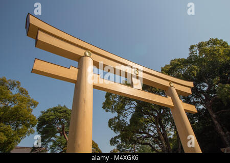 Das Torii (Schrein Torbogen) am Meiji Jingu-Schrein in Tokio Stockfoto