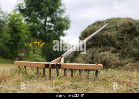 Die Reinigung mit einem Rechen auf einem Bauernhof Stockfoto