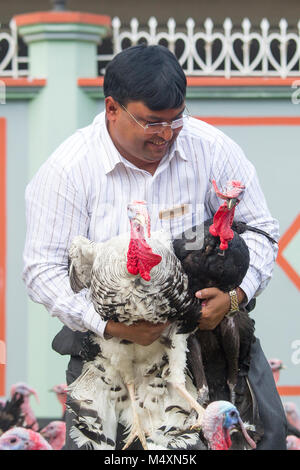 Md. Amir Hossain Sarkar, Inhaber der ersten großen Türkei Bangladesch business Farm" sarker Modarn Türkei Bauernhof" an Ashulia, Korcula, Dhaka, Bangladesch. Stockfoto