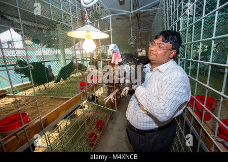 Md. Amir Hossain Sarkar, Inhaber der ersten großen Türkei Bangladesch business Farm" sarker Modarn Türkei Bauernhof" an Ashulia, Korcula, Dhaka, Bangladesch. Stockfoto