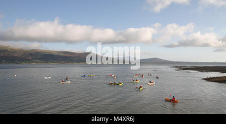 Kajakfahren auf dem Carlingford Lough. Stockfoto