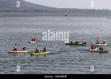 Jugendliche Kajakfahren auf Carlingford Lough. In Carlingford, County Louth. Stockfoto