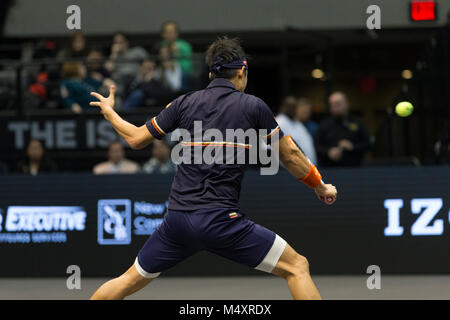 Uniondale, United States. 17 Feb, 2018. Kei Nishikori von Japan zurück Kugel während im Halbfinale gegen Kevin Anderson aus Südafrika an ATP 250 New York Öffnen im Nassau Coliseum Credit: Gaetano Piazzolla/Pacific Press/Alamy leben Nachrichten Stockfoto