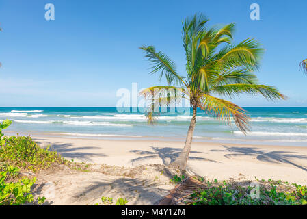 Spektakuläre und beeindruckende Paradise Beach an der Itacare Stockfoto