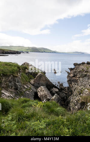 Wilde Felsenküste entlang der Kenmare Bay zwischen Allihies und Eyeries auf der Beara-Halbinsel, Südirland. Stockfoto