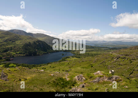 Healy Pass (R574) in die Caha Mountains auf dem Ring of Beara auf der Beara-Halbinsel, Südirland. Stockfoto