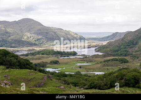 Meine Damen anzeigen Suche in der Nähe von Derrycunihy Holz mit Blick auf den oberen See und darüber hinaus in den Killarney National Park, innerhalb der Kerry Ring in der Grafschaft Kerry, Sou Stockfoto