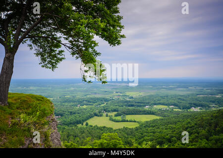 Ein einsamer Baum auf einer Klippe mit Blick auf üppigen grünen Ackerland in New England, USA. Stockfoto