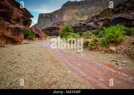 Regen bringt Warnungen von Sturzfluten auf Hualapai Stammes- Ländern in der Nähe von Havasu Wasserfall. Stockfoto