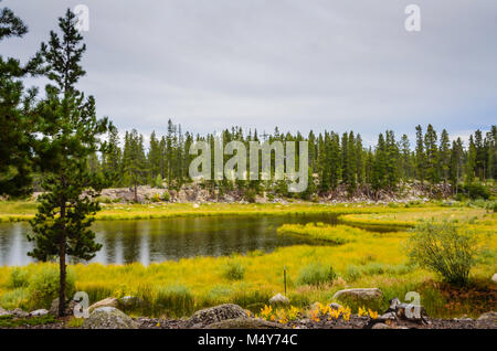 Grauen Himmel und leichtem Nieselregen Regen am Teich mit Regenbogenforellen auf nationaler Fischzuchtanstalt in Leadville, Colorado bestückte fallen. Stockfoto