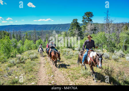 Geführte reiten Tour am Berg Trail in Medicine Bow National Forest. Stockfoto