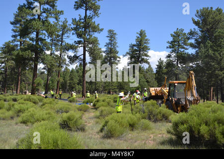 Arbeiter und Maschinen arbeiten in den Bäumen die Greenway Trail zu ebnen. Zwischen 10. August bis 10. September 2016 die Greenway Trail zwischen dem IMAX Theater Parkplatz in Tusayan und Centre Road im Grand Canyon National Park wird geschlossen werden, während der Grand Canyon Trail crew installiert Asphalt. Der Teil der Trail im Norden von der Mitte der Straße nicht beeinträchtigt werden. Während die trail Schließung in Kraft ist, Radfahrer und Wanderer können die Tusayan Shuttle (lila Route), die mit Fahrradträger Racks ausgestattet ist. Der Shuttle verbindet Tusayan mit den South Rim Visitor Zentrums, jeweils eine 20-minütige Fahrt. Die Stockfoto