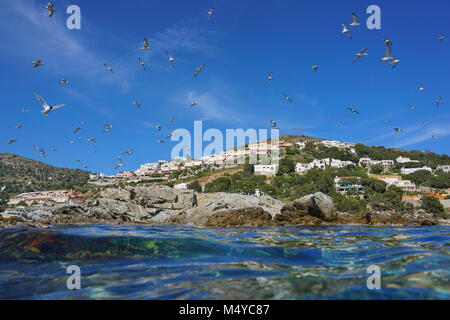 Mediterrane Möwen fliegen über einen felsigen Küste mit Gebäude im Hintergrund, vom Wasser Oberfläche gesehen, Spanien, Costa Brava, Katalonien, Roses, Girona Stockfoto