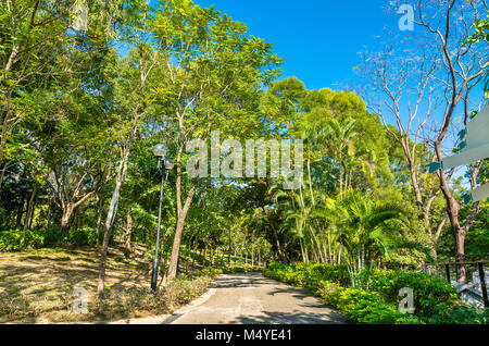 Sha Tin Park in Hongkong, China Stockfoto