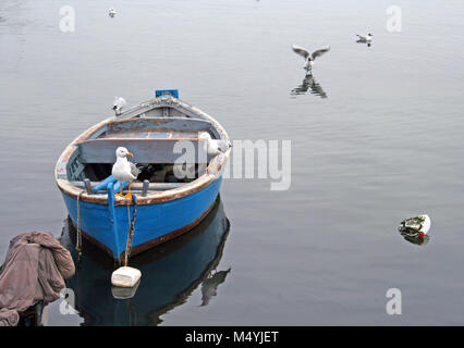Altes Holzboot mit Möwen auf den sehr ruhigen Wasser und Hintergrund in Bari, Apulien, Italien verankert Stockfoto
