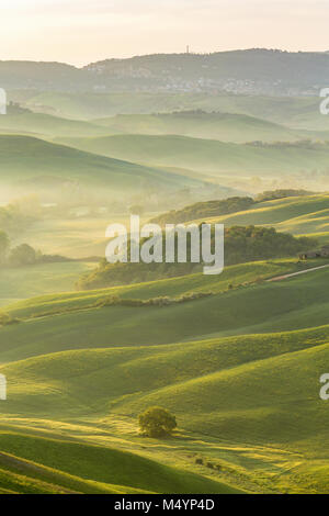 Morgen Nebel im Tal Stockfoto