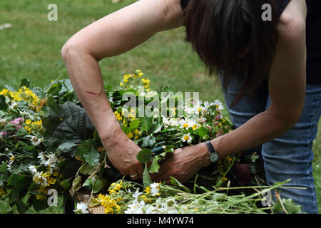 Hochsommer Stockfoto