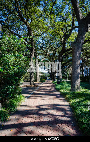 Eiche von Bäumen gesäumten Promenade in Forsyth Park in Savannah, Georgia. Stockfoto