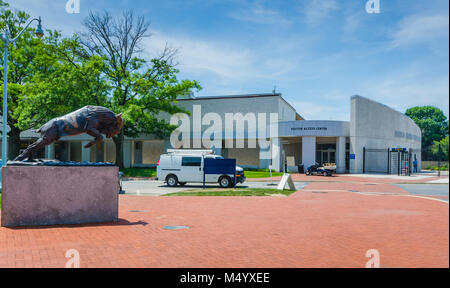 Bill, der Ziege, Bronze Skulptur Maskottchen der United States Naval Academy, mit dem Armel-Leftwich Visitor Center im Hintergrund. Stockfoto